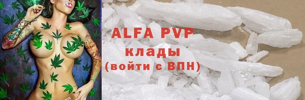 винт Верея