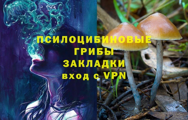 mdpv Бородино