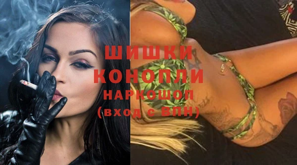 мдпв Ветлуга