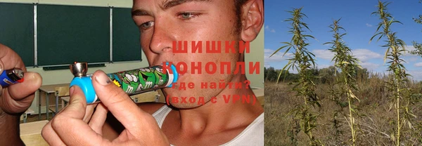винт Верея
