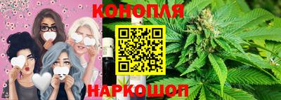 индика Ирбит