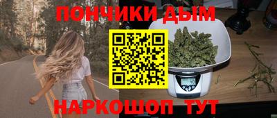 индика Ирбит