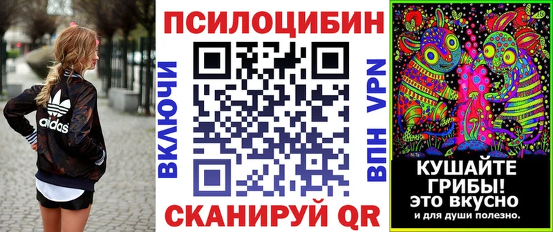 закладка  Нерюнгри  мега как зайти  Галлюциногенные грибы мухоморы 