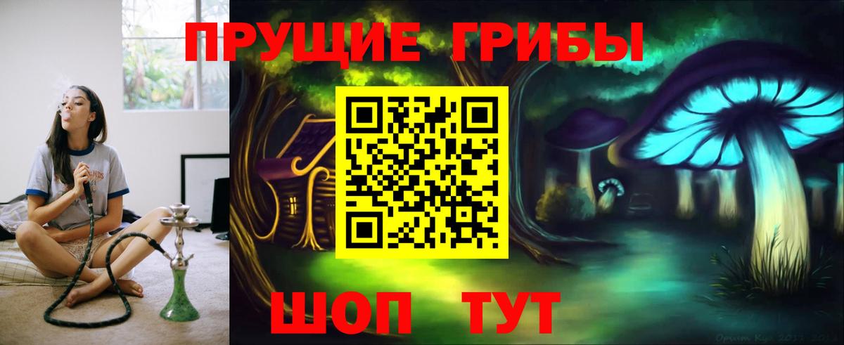 Галлюциногенные грибы Cubensis  Галлюциногенные грибы мухоморы  Вход с VPN  Нерюнгри 